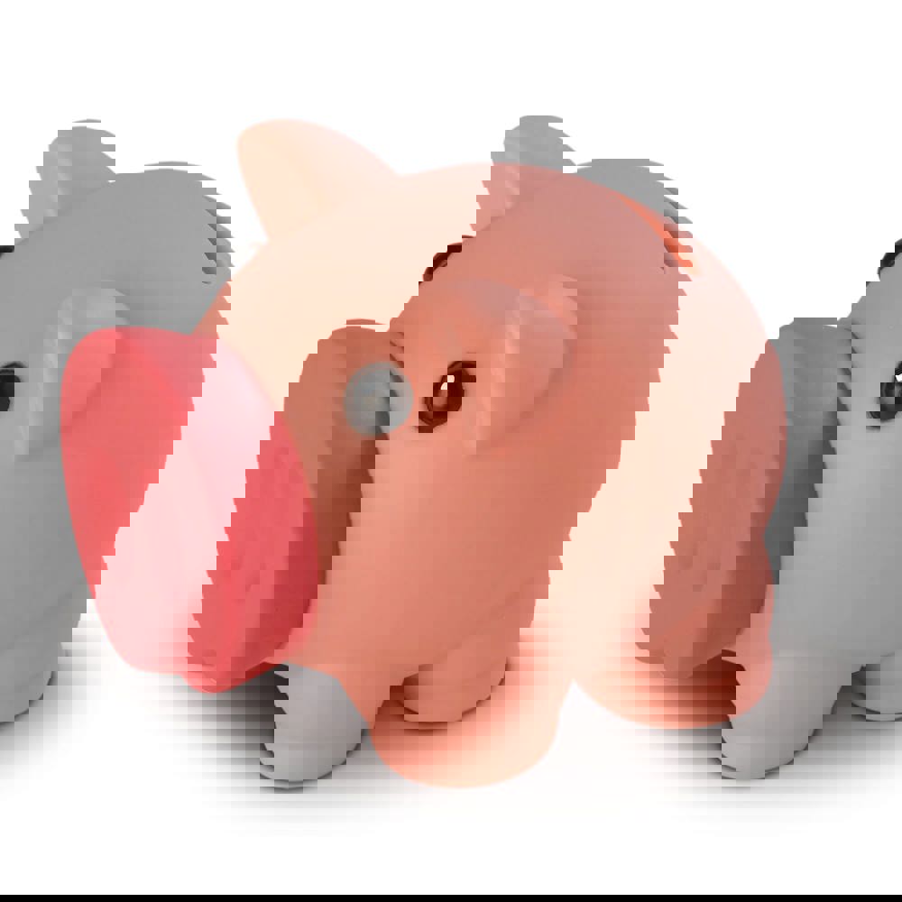 Spaarvarken - voor bedrijven en relatiegeschenken - roze