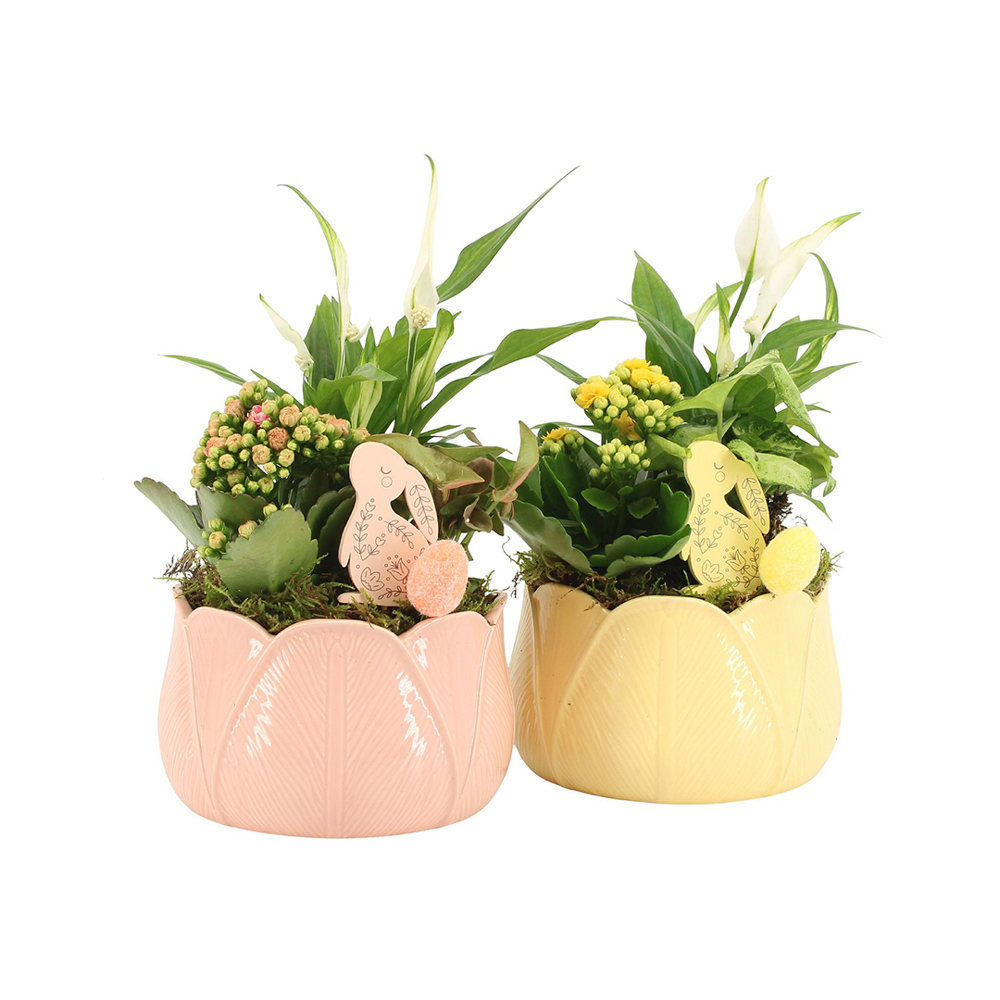 Easter colourful ceramic large - Kalanchoë - met logo of onbedrukt bestellen