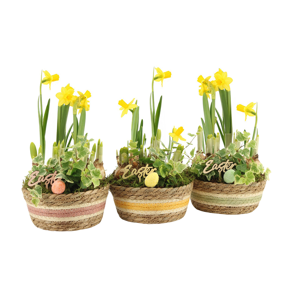 Easter basket large - Narcis - met logo of onbedrukt bestellen