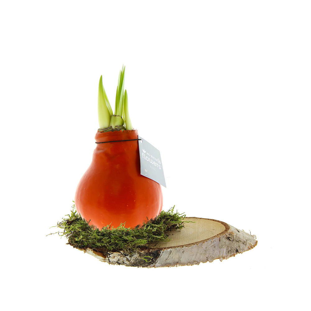 No Water Flowers® - Waxz® on wood - voor bedrijven en relatiegeschenken - oranje