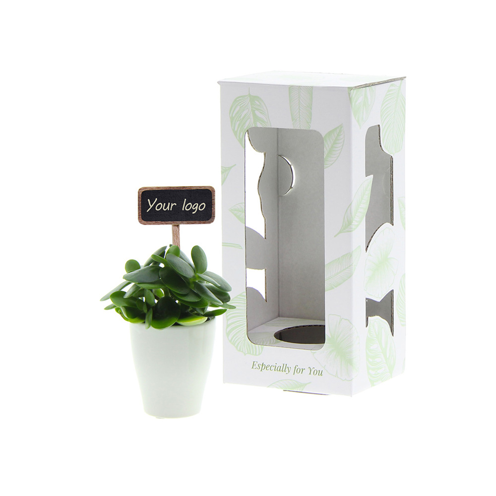 ChalkNotes® - Easy care mix, In giftbox