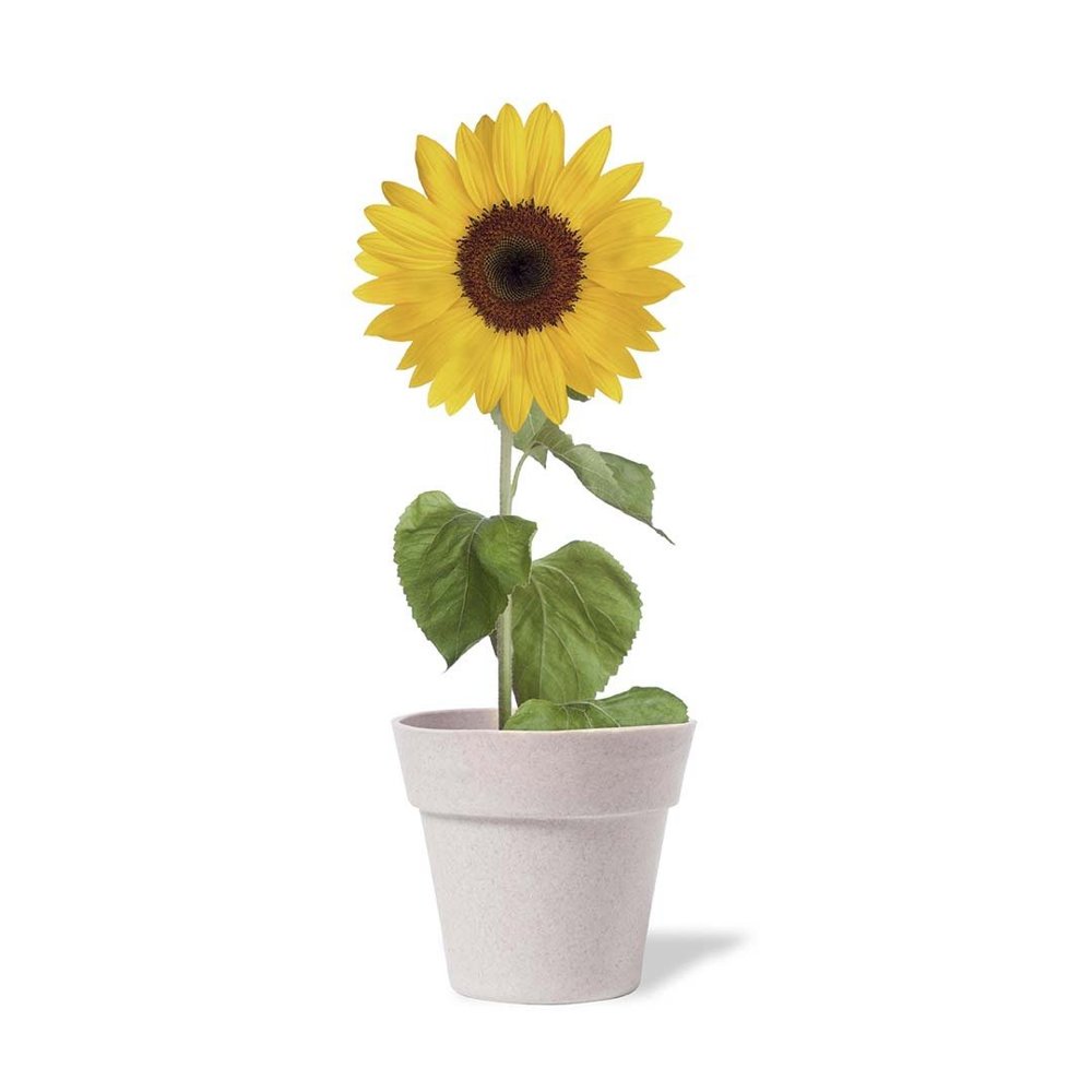 Bloempot Tumil