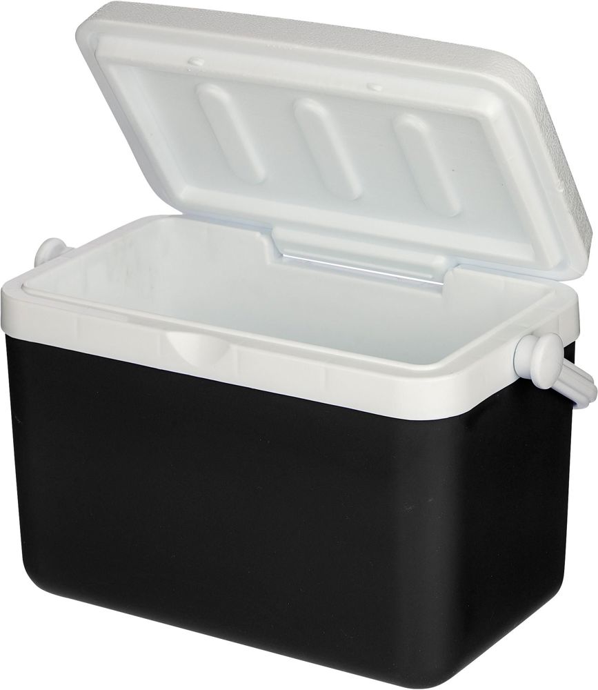 Koelbox 4 liter Sunkissed