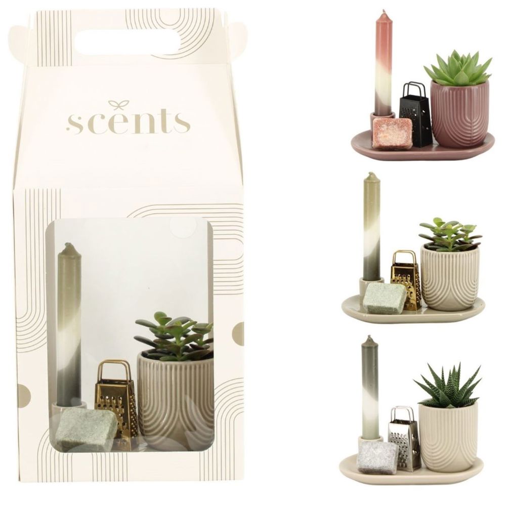 Aromatic Giftset large - bedrukt of onbedrukt verkrijgbaar