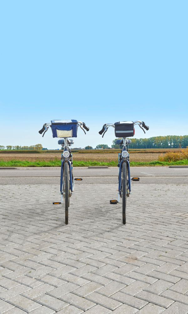 Polyester fietskoeltas Prisha