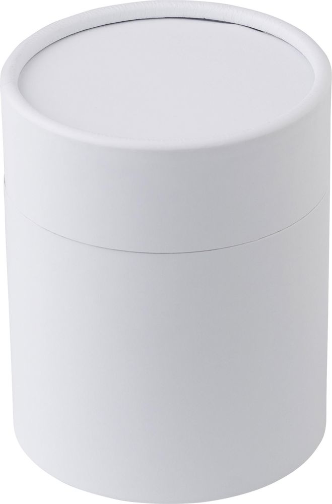 Glazen kaars Matthew