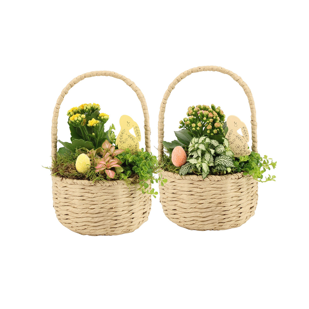 Easter carry basket large - Kalanchoë - met logo of onbedrukt bestellen