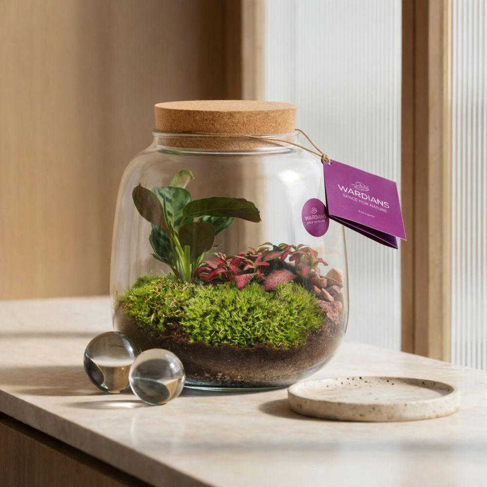 Wardians® Ecosystem - Sphere medium, Zonder verpakking