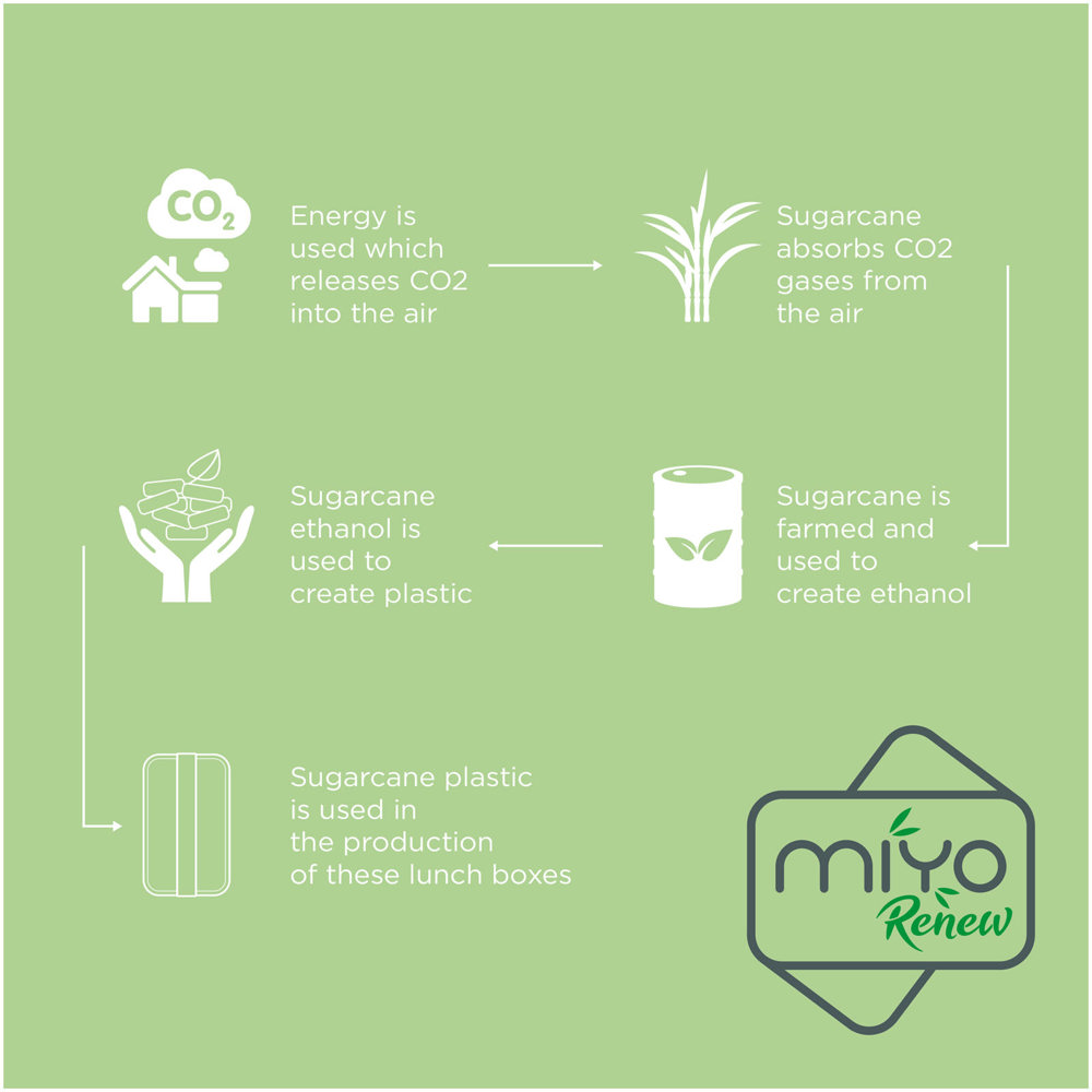 MIYO Renew 700 ml enkellaagse lunchbox