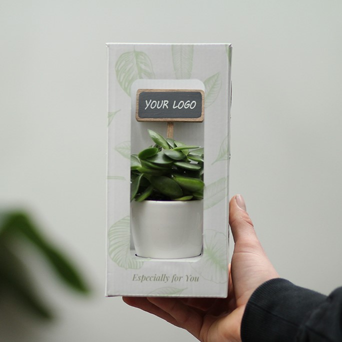 ChalkNotes® - Easy care mix, In giftbox