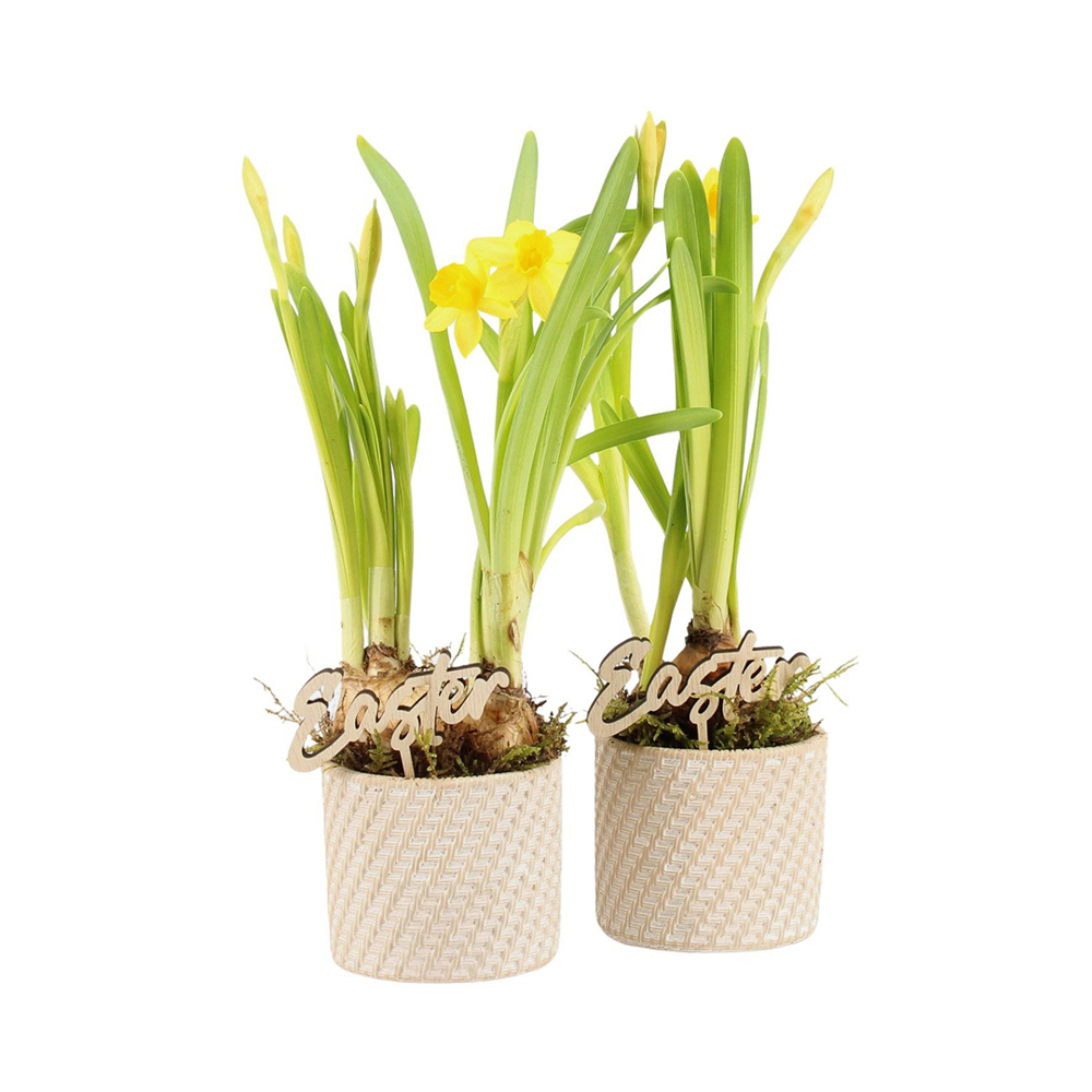Easter braided ceramic small - Narcis - kopen of bedrukken