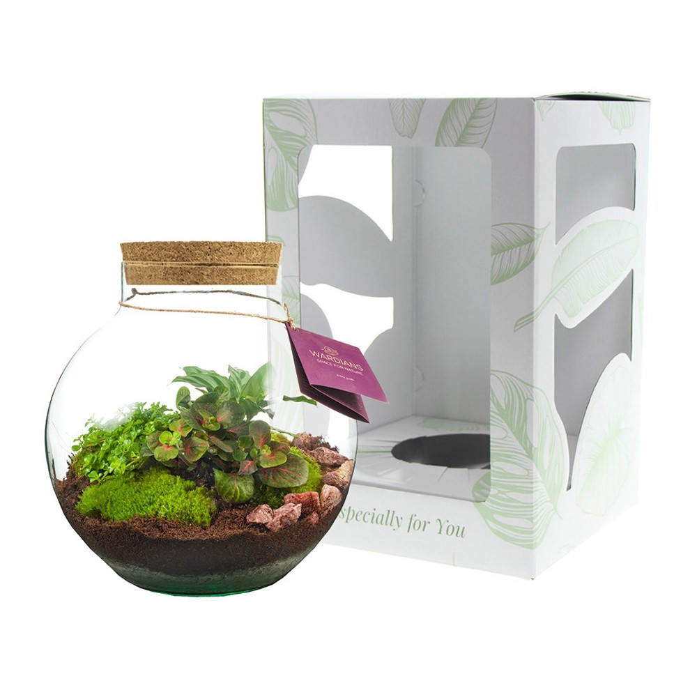 Wardians® Ecosystem - Bowl large - voor bedrijven en relatiegeschenken