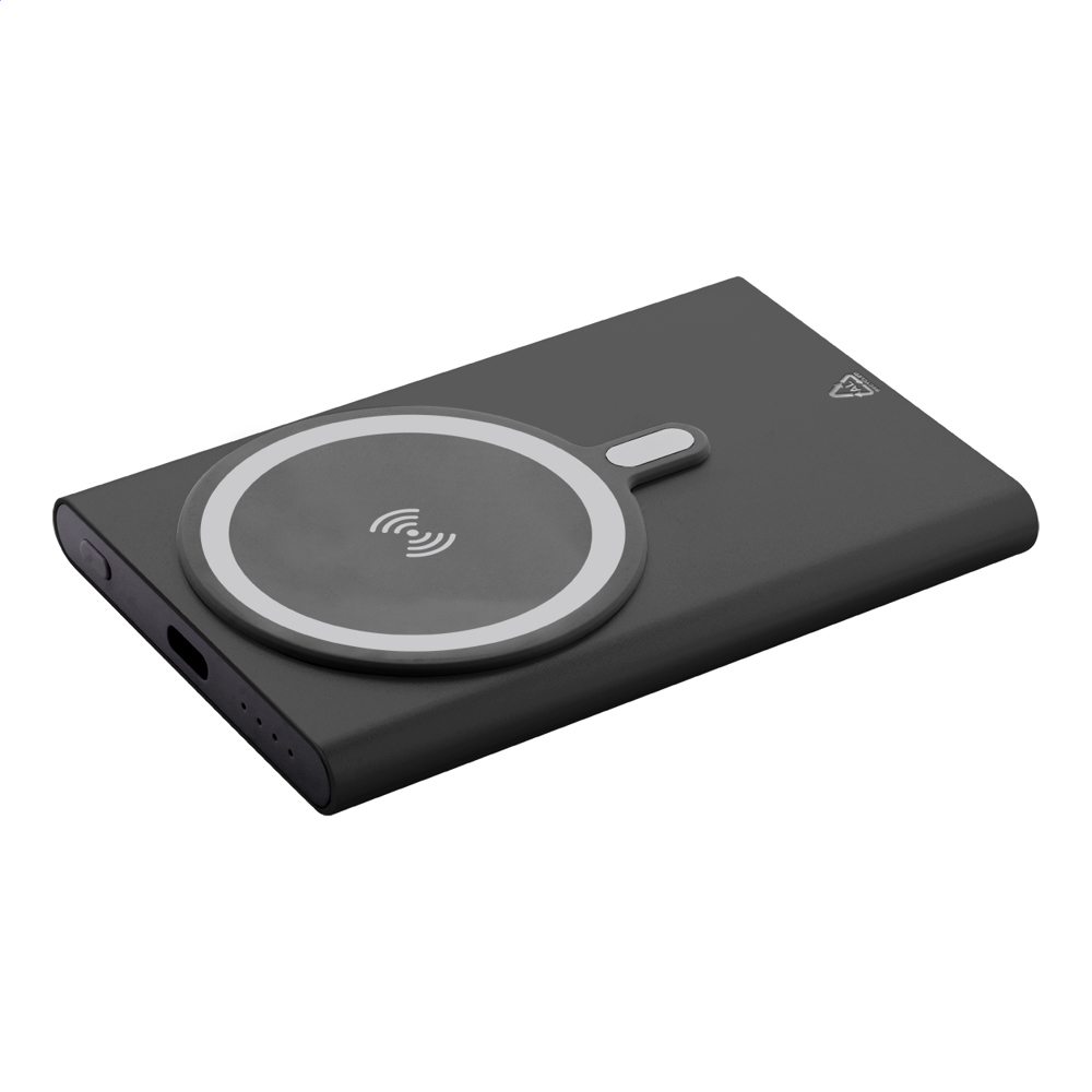 RaluStick - powerbank - bedrukt of onbedrukt verkrijgbaar