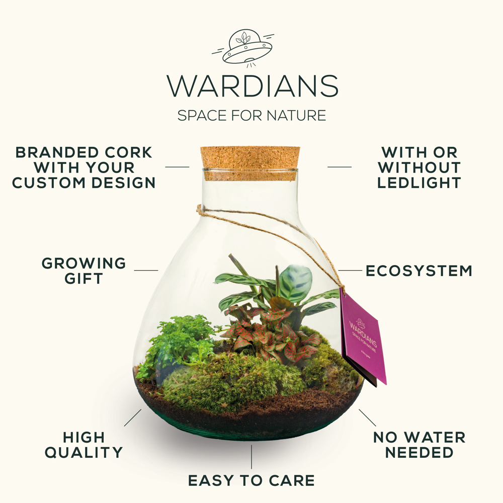 Wardians® Ecosystem - Sphere medium, Zonder verpakking