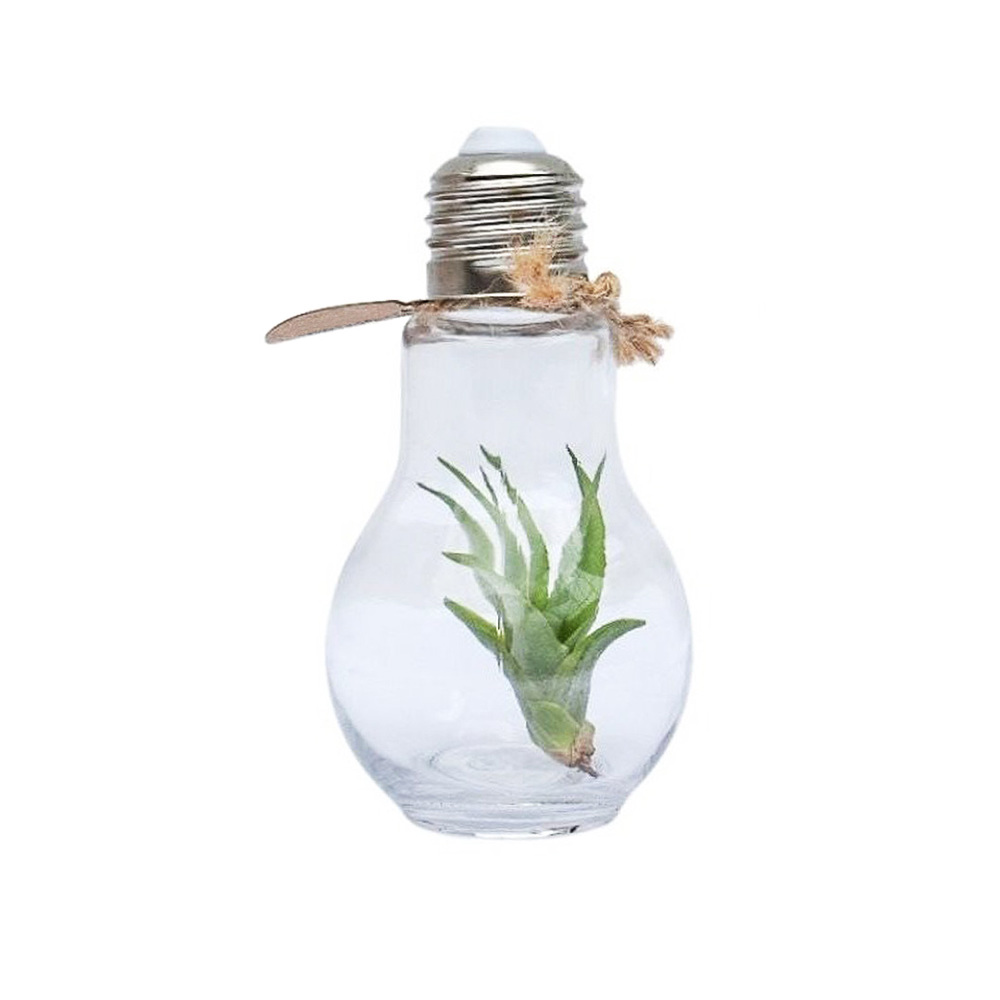 Airplant - Light bulb - bedrukt of onbedrukt verkrijgbaar