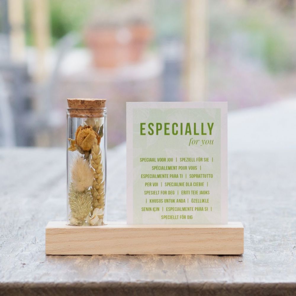 Dried Flowers - Cardholder & tube, Wit