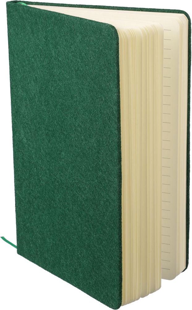 Gerecycled vilt notitieboek (A5) Dario Original