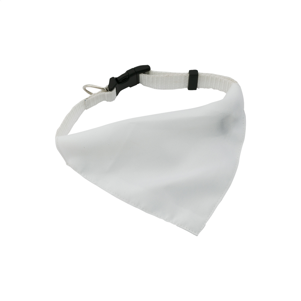 Rex - halsband - kopen of bedrukken