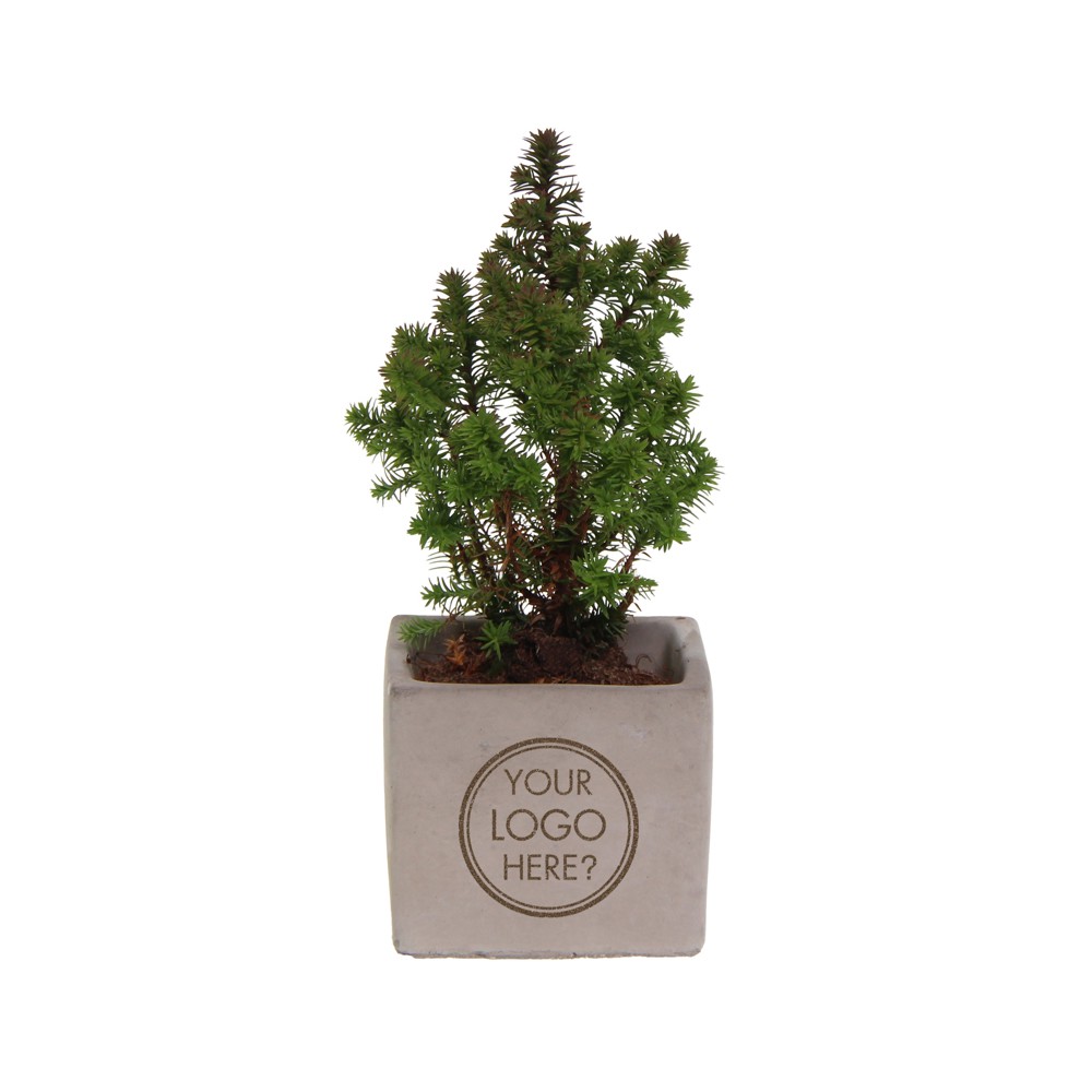 Congreet® plantpots small - Christmas edition - kopen of bedrukken