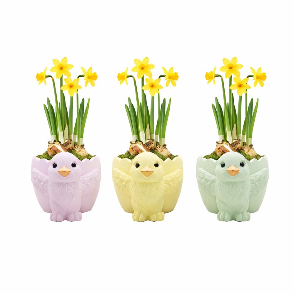 Easter colourful egg medium - Narcis - kopen of bedrukken