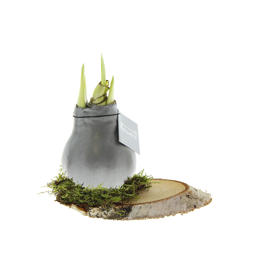 No Water Flowers® - Waxz® on wood - voor bedrijven en relatiegeschenken - zilver