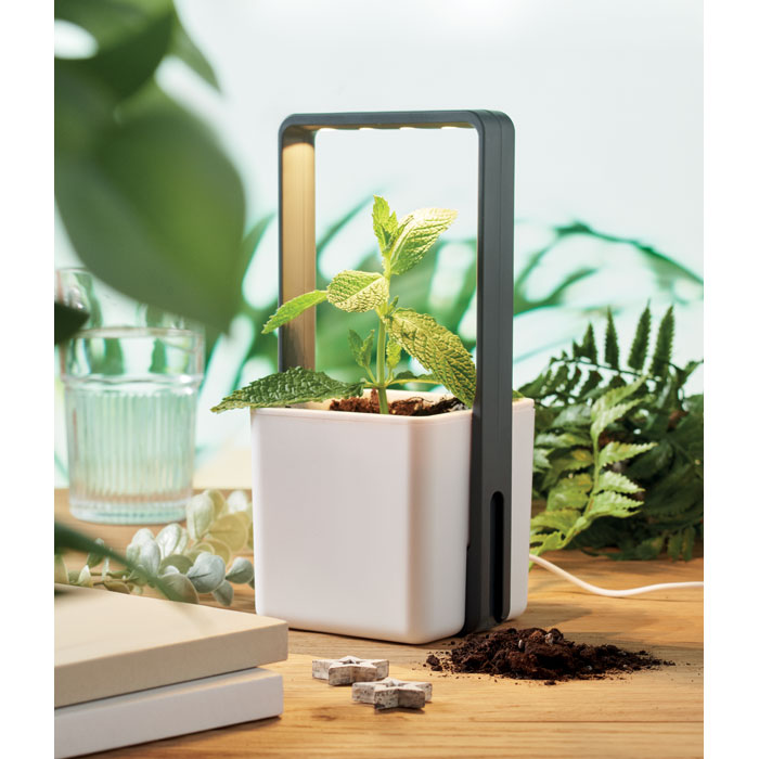 LUSHLET - Binnentuin met LED lamp - kopen of bedrukken