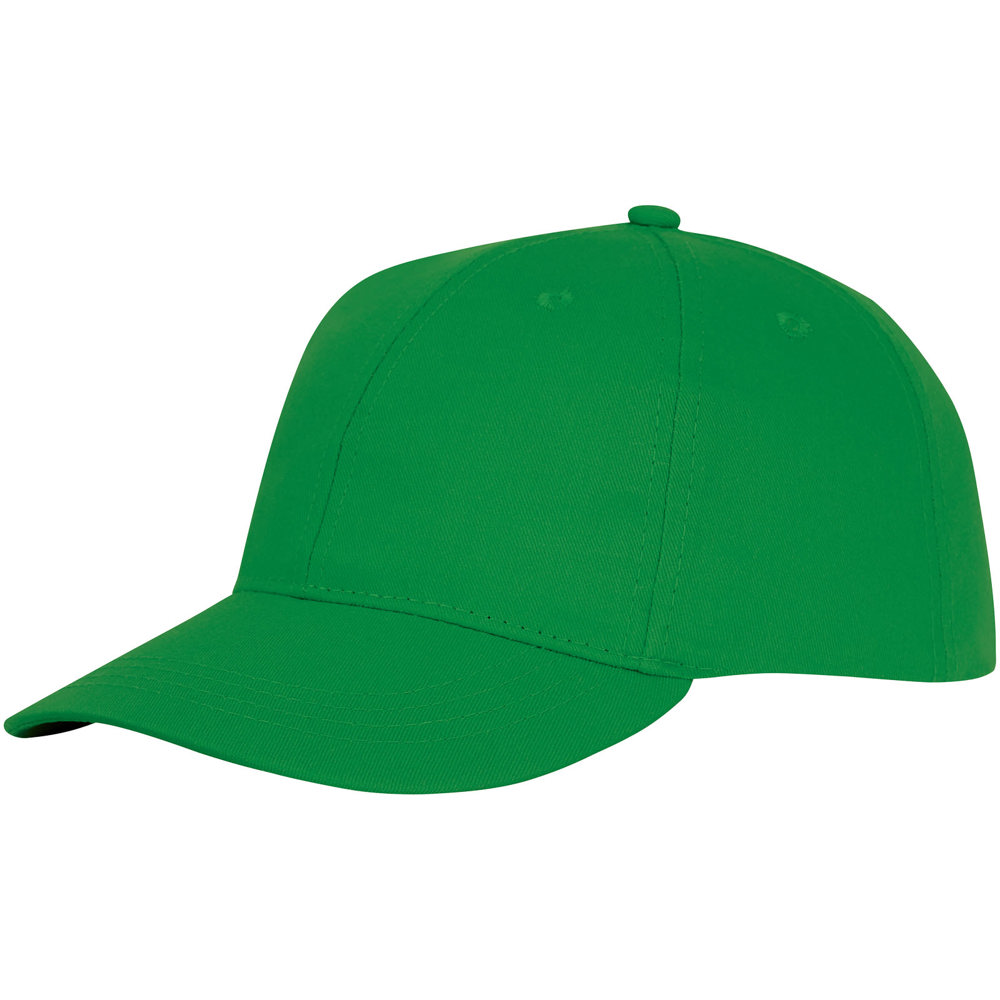 Ares 6 panel cap - bedrukt of onbedrukt verkrijgbaar - Varen groen