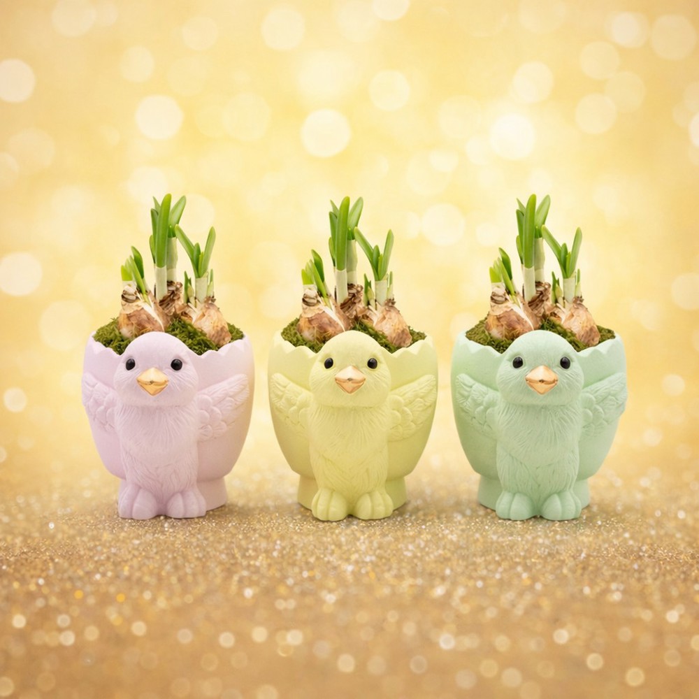 Easter colourful egg medium - Narcis, In cellofaan met chocolade eitjes