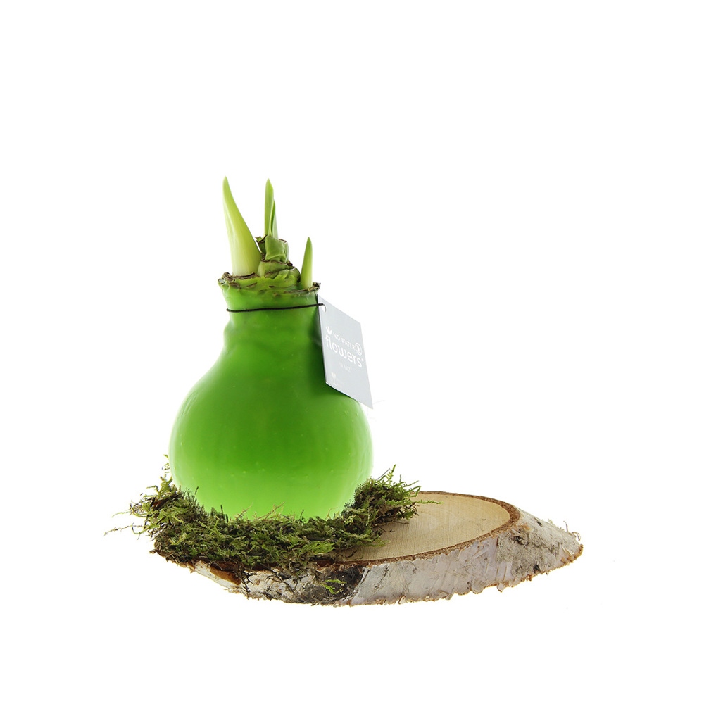No Water Flowers® - Waxz® on wood - voor bedrijven en relatiegeschenken - lichtgroen