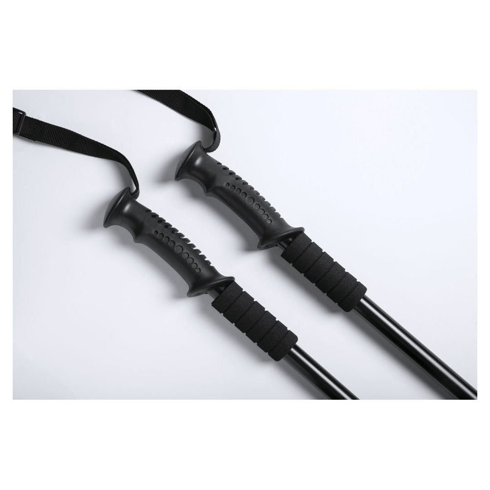 Wandelstokken Brulen