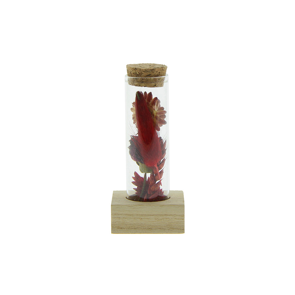 Dried Flowers - Single tube & wood - voor bedrijven en relatiegeschenken - rood