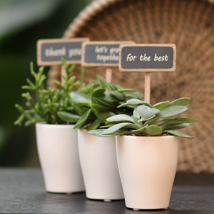 ChalkNotes® - Easy care mix, In giftbox