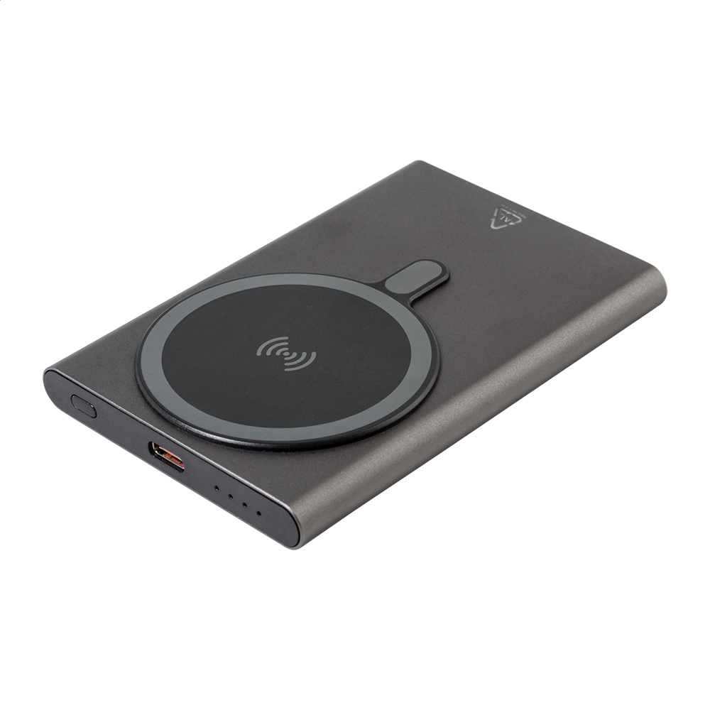 RaluStick - powerbank - bedrukt of onbedrukt verkrijgbaar - grijs