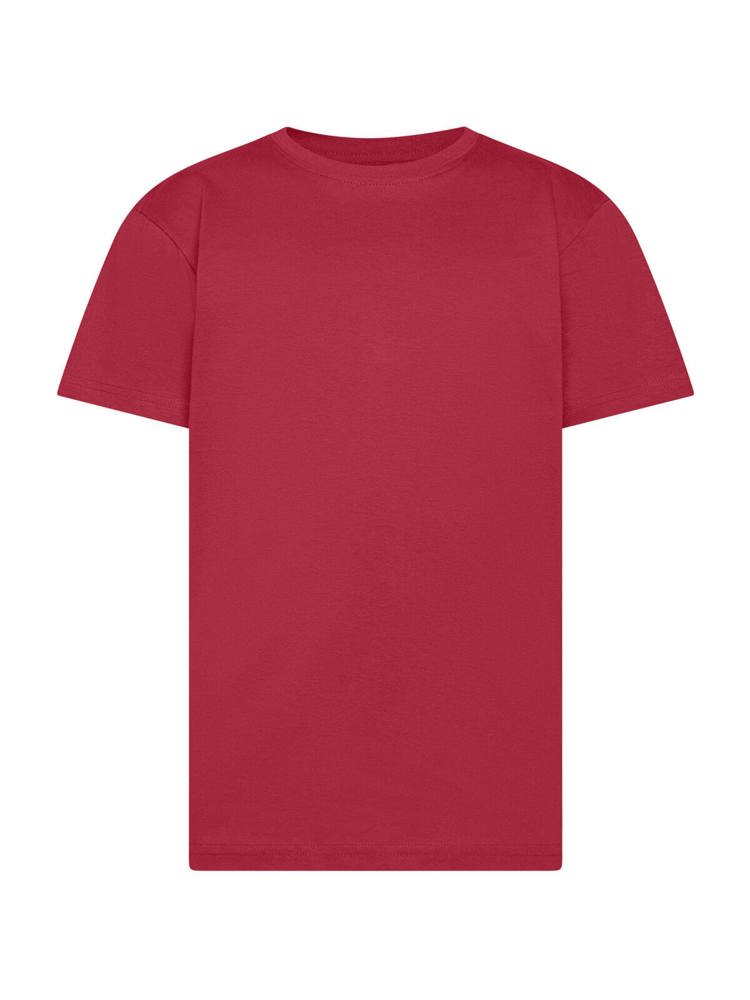 BS Evolution kids t-shirt, 150 gr/m² - met logo of onbedrukt bestellen - Cardinal