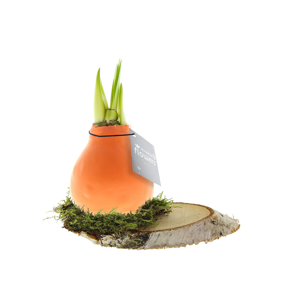 No Water Flowers® - Waxz® on wood - voor bedrijven en relatiegeschenken - Pastel oranje