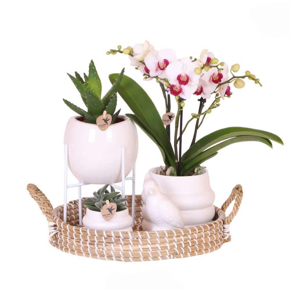 Botanical Giftset large - White Serenity - voor bedrijven en relatiegeschenken