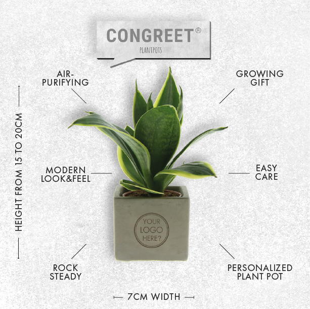 Congreet® plantpots small, In giftbox