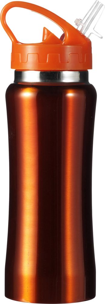 RVS fles Serena