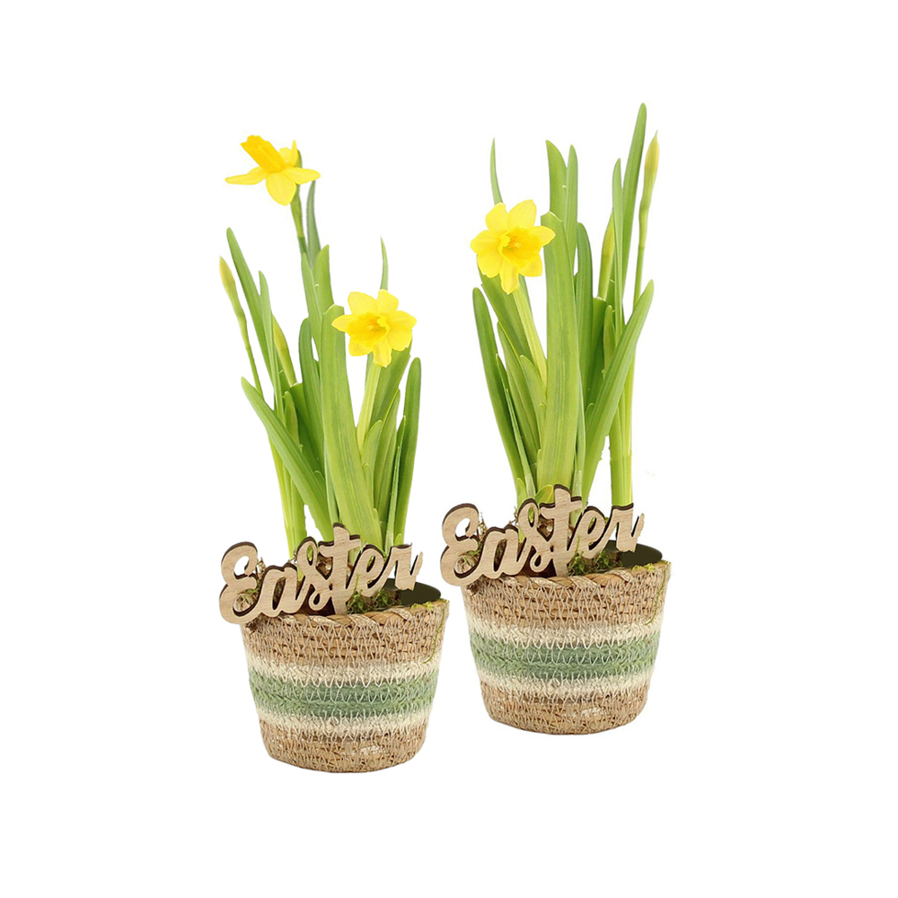 Easter basket small - Narcis - bedrukt of onbedrukt verkrijgbaar