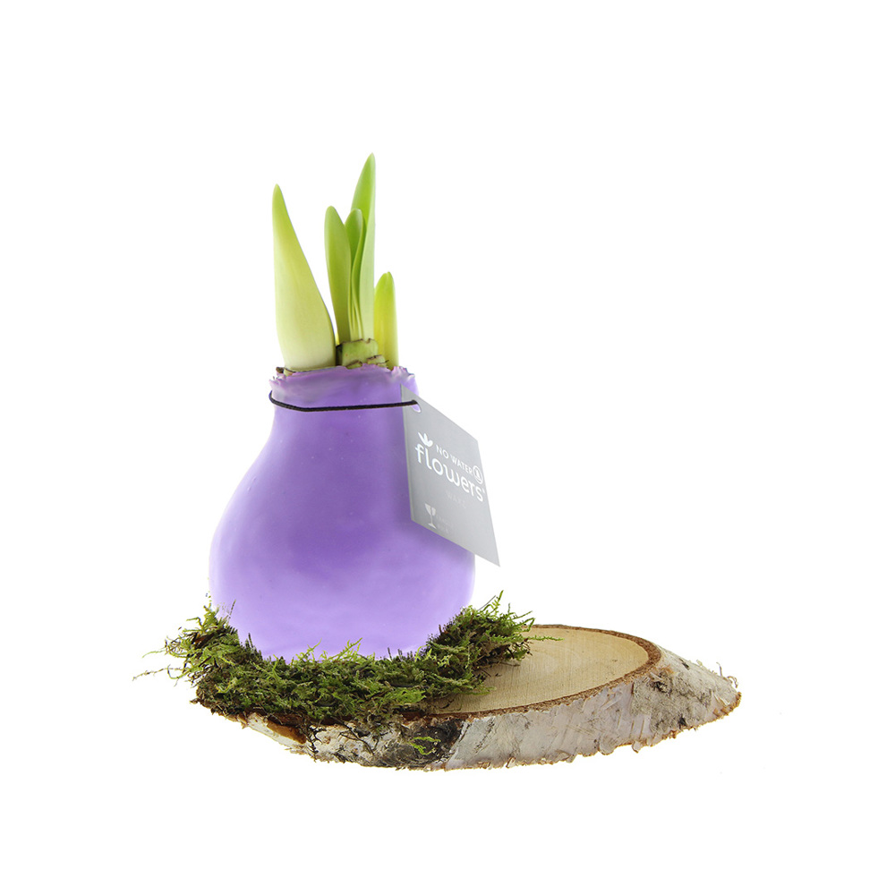 No Water Flowers® - Waxz® on wood - voor bedrijven en relatiegeschenken - Pastel paars