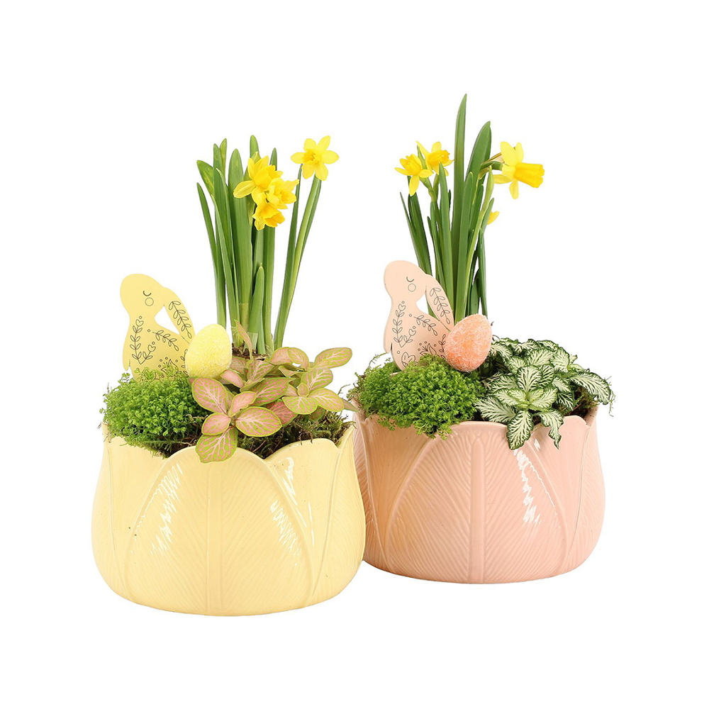 Easter colourful ceramic large - Narcis - bedrukt of onbedrukt verkrijgbaar