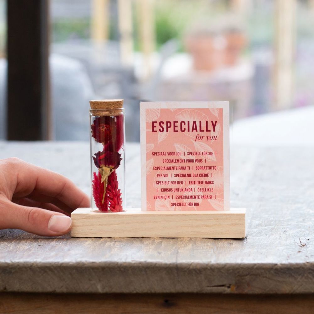 Dried Flowers - Cardholder & tube, Wit