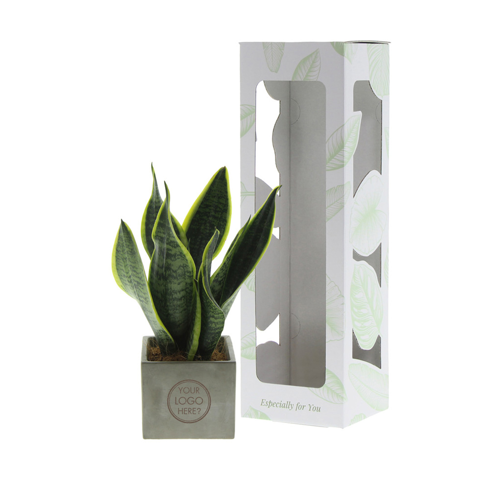 Congreet® plantpots large, In giftbox