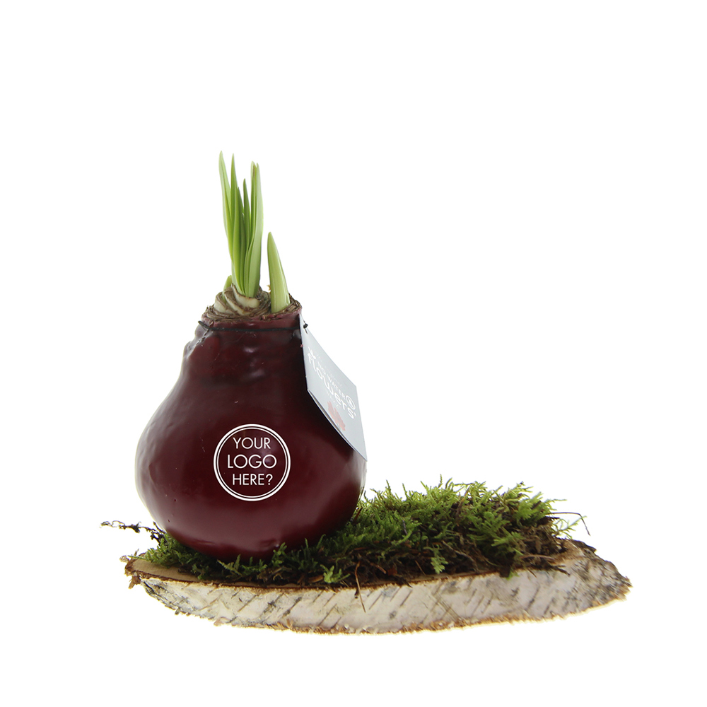 No Water Flowers® - Waxz® on wood - voor bedrijven en relatiegeschenken