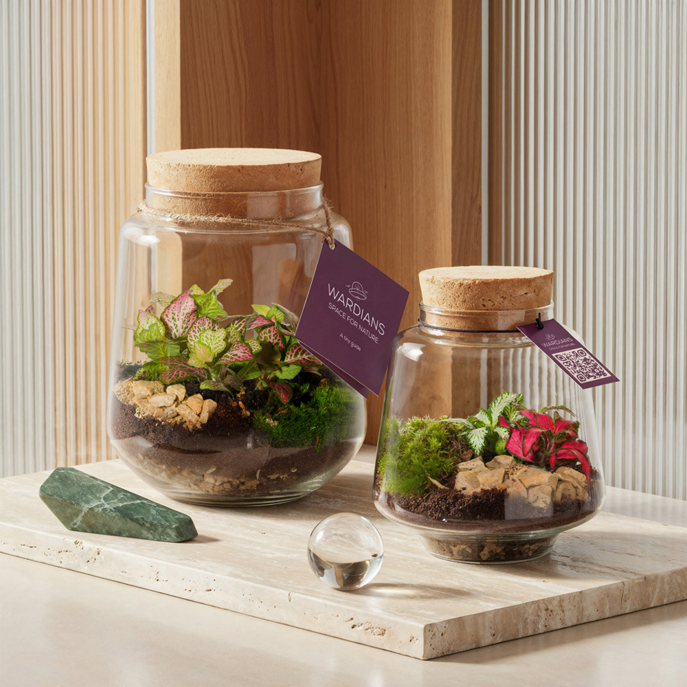 Wardians® Ecosystem - Conical small, In giftbox