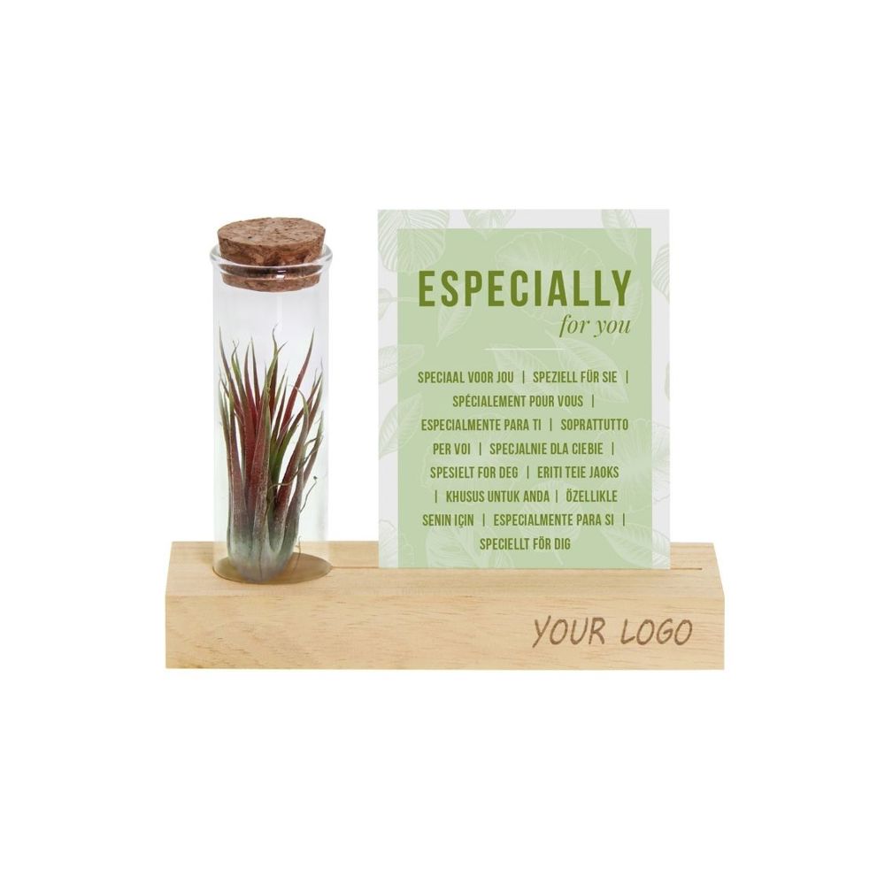 Airplant - Cardholder & tube - met logo of onbedrukt bestellen