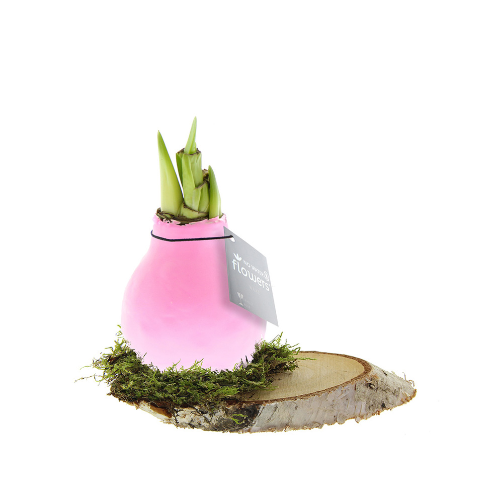 No Water Flowers® - Waxz® on wood - voor bedrijven en relatiegeschenken - pastel roze