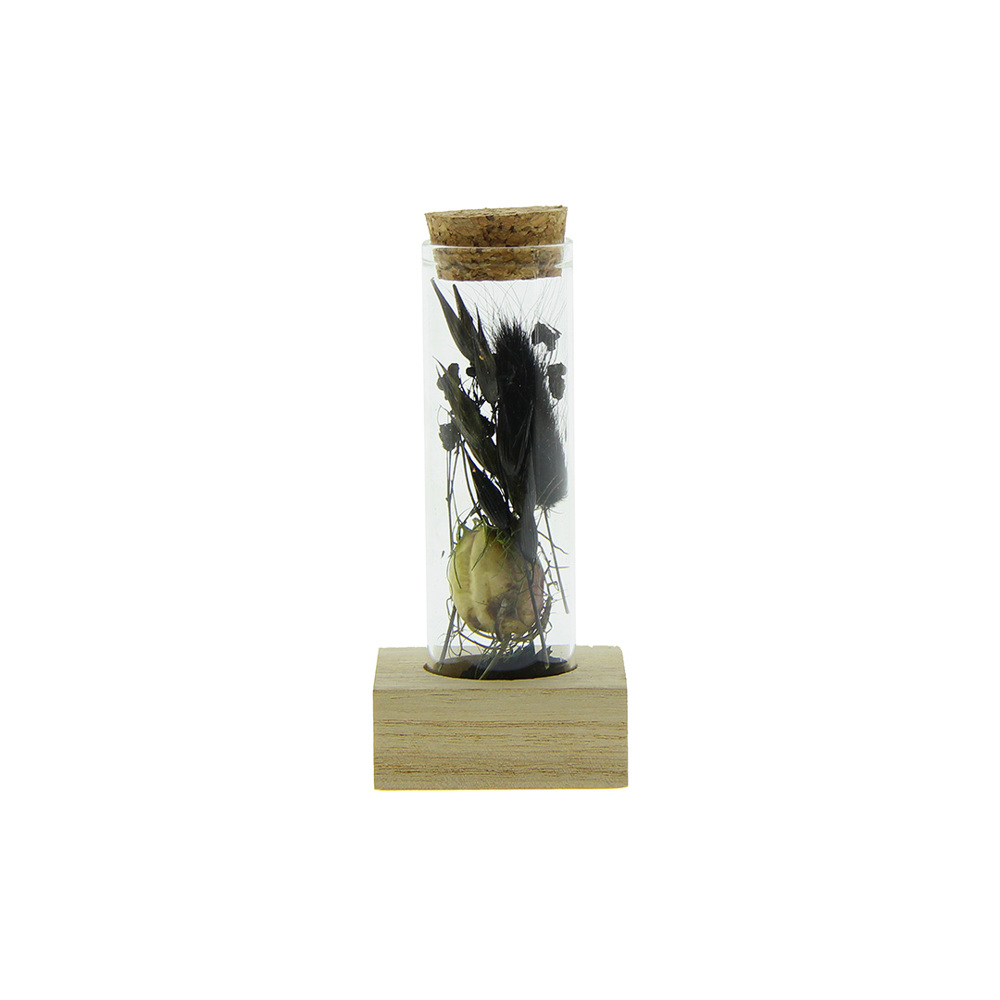 Dried Flowers - Single tube & wood - voor bedrijven en relatiegeschenken - Zwart